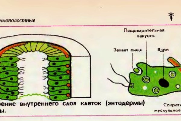 Кракен даркнет ссылка для тор
