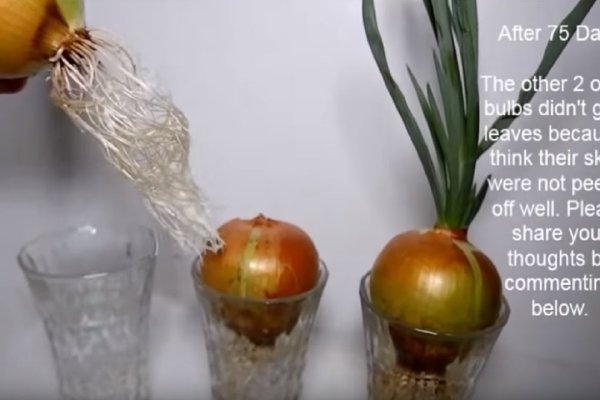 Ссылки на кракен зеркала