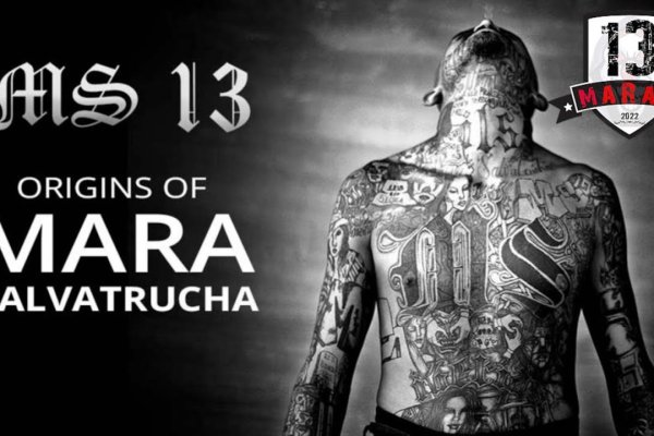 Пользователь не найден кракен что делать