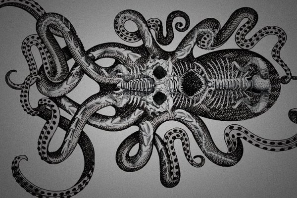 Замена hydra