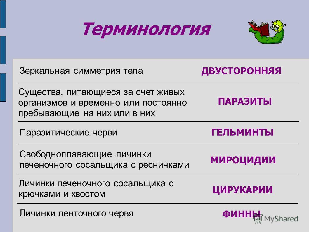 Где найти ссылку на кракен